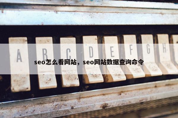 seo怎么看网站，seo网站数据查询命令