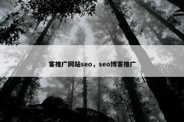 客推广网站seo，seo博客推广
