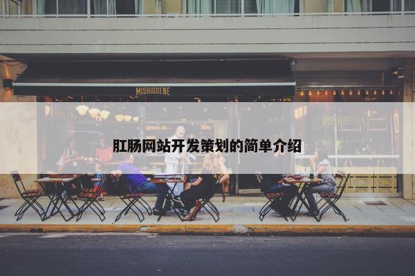 肛肠网站开发策划的简单介绍