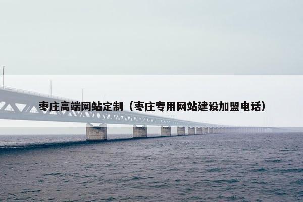 枣庄高端网站定制（枣庄专用网站建设加盟电话）