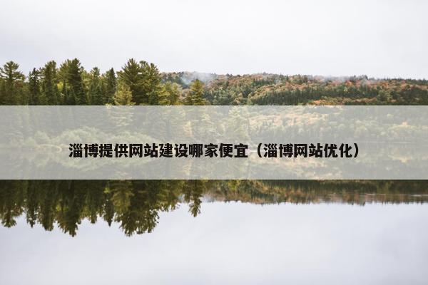 淄博提供网站建设哪家便宜（淄博网站优化）