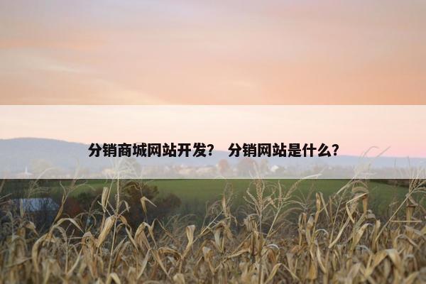 分销商城网站开发？ 分销网站是什么？