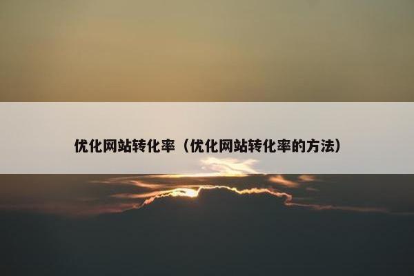 优化网站转化率（优化网站转化率的方法）