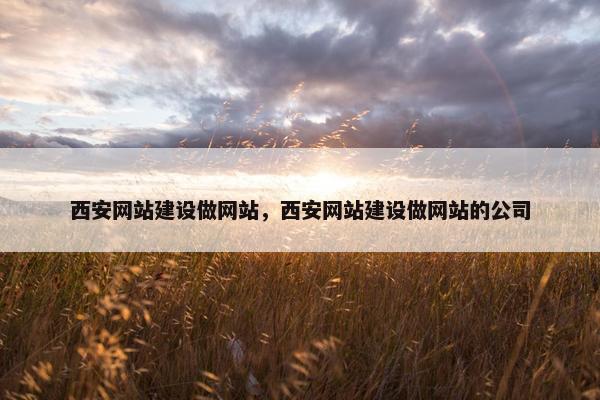 西安网站建设做网站，西安网站建设做网站的公司