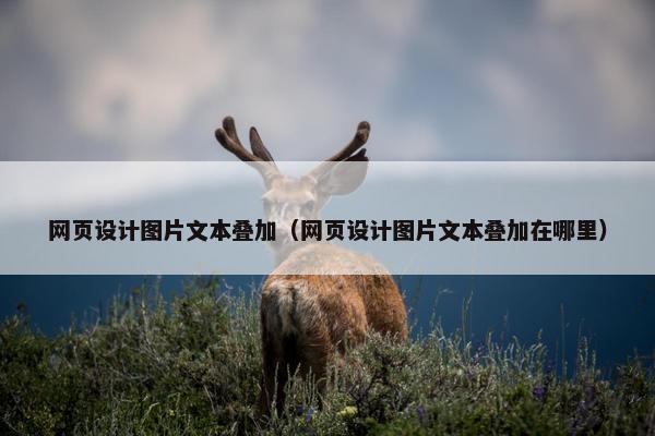 网页设计图片文本叠加（网页设计图片文本叠加在哪里）