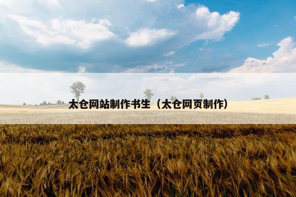 太仓网站制作书生（太仓网页制作）