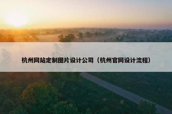 杭州网站定制图片设计公司（杭州官网设计流程）