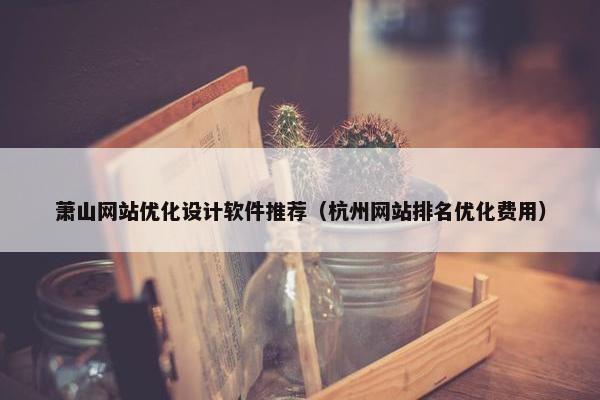 萧山网站优化设计软件推荐（杭州网站排名优化费用）
