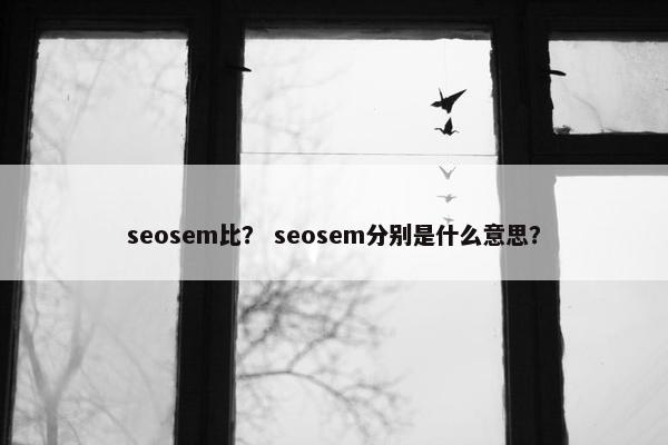 seosem比？ seosem分别是什么意思？