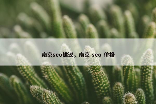 南京seo建议，南京 seo 价格