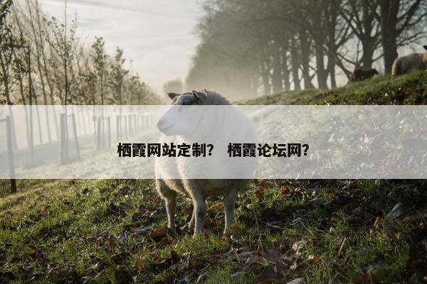 栖霞网站定制？ 栖霞论坛网？