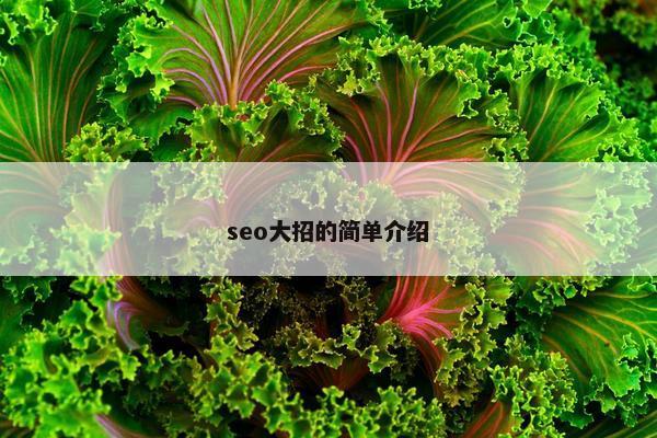 seo大招的简单介绍