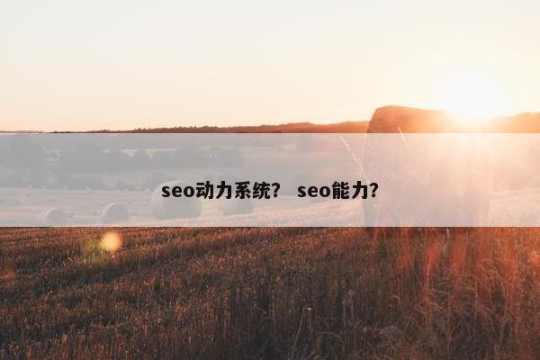 seo动力系统？ seo能力？
