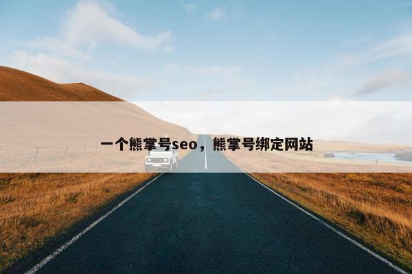一个熊掌号seo，熊掌号绑定网站