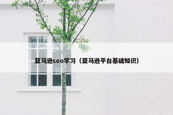亚马逊seo学习（亚马逊平台基础知识）
