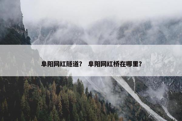 阜阳网红隧道？ 阜阳网红桥在哪里？