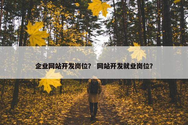 企业网站开发岗位？ 网站开发就业岗位？