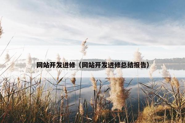 网站开发进修（网站开发进修总结报告）