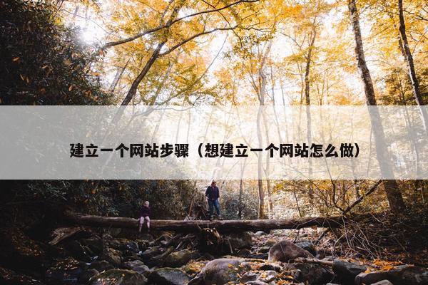建立一个网站步骤（想建立一个网站怎么做）