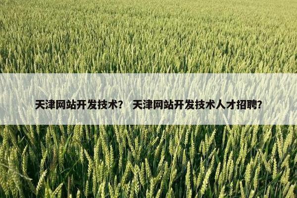 天津网站开发技术？ 天津网站开发技术人才招聘？