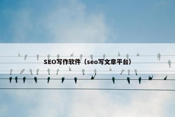 SEO写作软件（seo写文章平台）