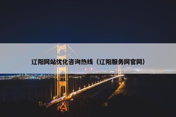 辽阳网站优化咨询热线（辽阳服务网官网）