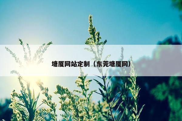 塘厦网站定制（东莞塘厦网）