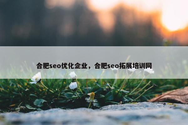 合肥seo优化企业，合肥seo拓展培训网