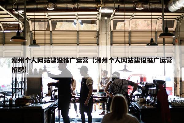 潮州个人网站建设推广运营（潮州个人网站建设推广运营招聘）
