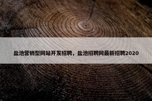 盐池营销型网站开发招聘，盐池招聘网最新招聘2020
