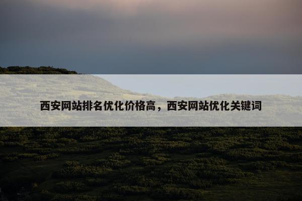 西安网站排名优化价格高，西安网站优化关键词