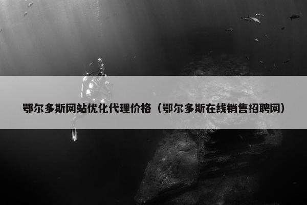 鄂尔多斯网站优化代理价格（鄂尔多斯在线销售招聘网）