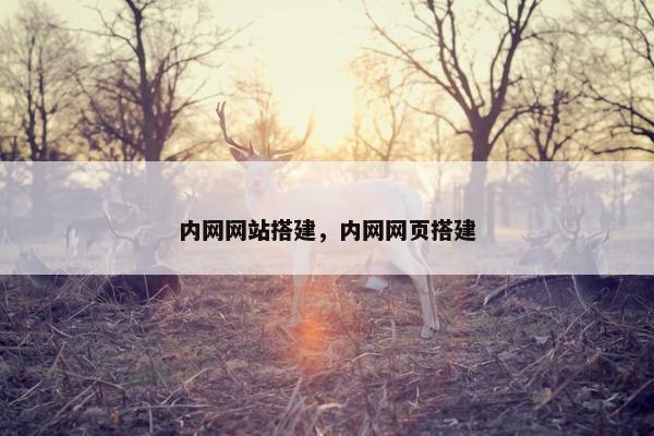 内网网站搭建，内网网页搭建