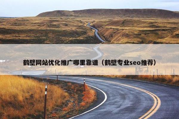 鹤壁网站优化推广哪里靠谱（鹤壁专业seo推荐）