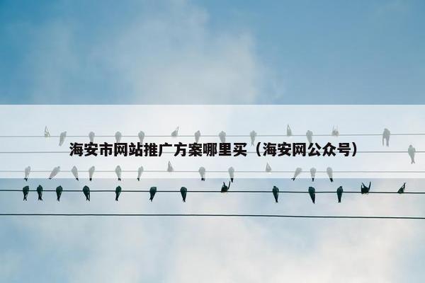 海安市网站推广方案哪里买（海安网公众号）