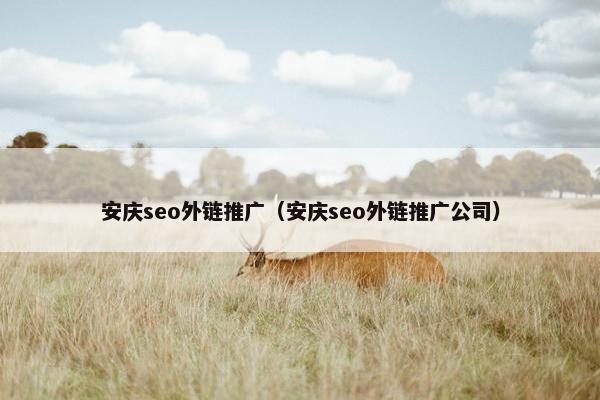 安庆seo外链推广（安庆seo外链推广公司）
