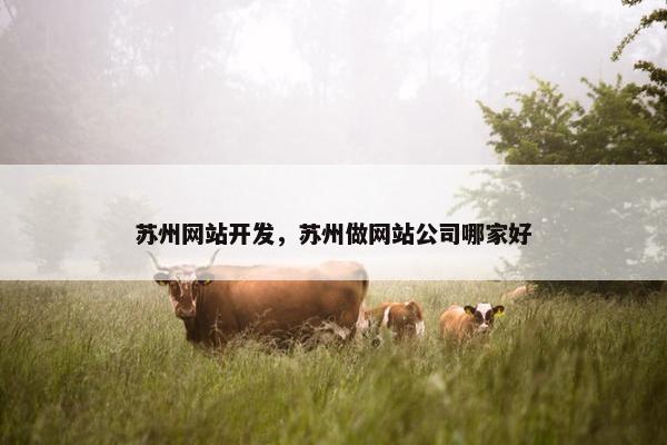 苏州网站开发，苏州做网站公司哪家好