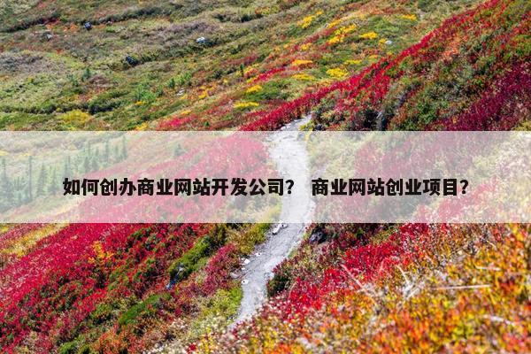 如何创办商业网站开发公司？ 商业网站创业项目？
