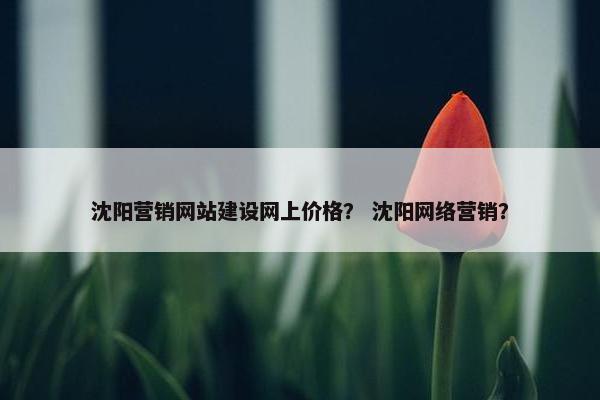 沈阳营销网站建设网上价格？ 沈阳网络营销？