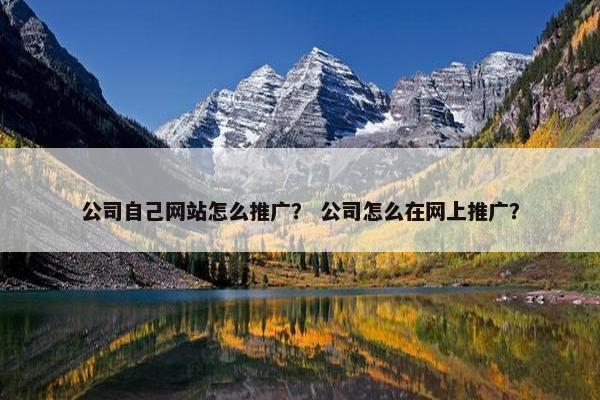 公司自己网站怎么推广？ 公司怎么在网上推广？