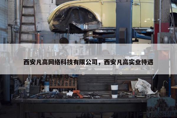 西安凡高网络科技有限公司，西安凡高实业待遇