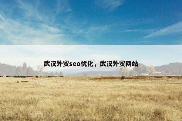 武汉外贸seo优化，武汉外贸网站