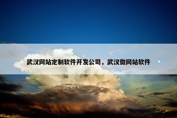 武汉网站定制软件开发公司，武汉做网站软件