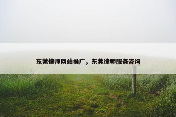 东莞律师网站推广，东莞律师服务咨询