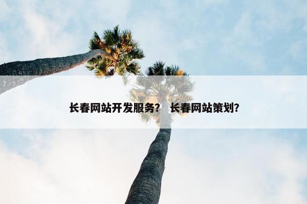 长春网站开发服务？ 长春网站策划？