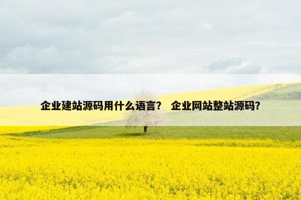 企业建站源码用什么语言？ 企业网站整站源码？