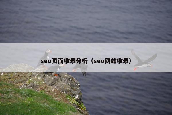 seo页面收录分析（seo网站收录）