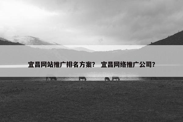 宜昌网站推广排名方案？ 宜昌网络推广公司？