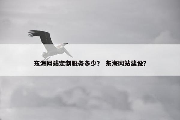 东海网站定制服务多少？ 东海网站建设？