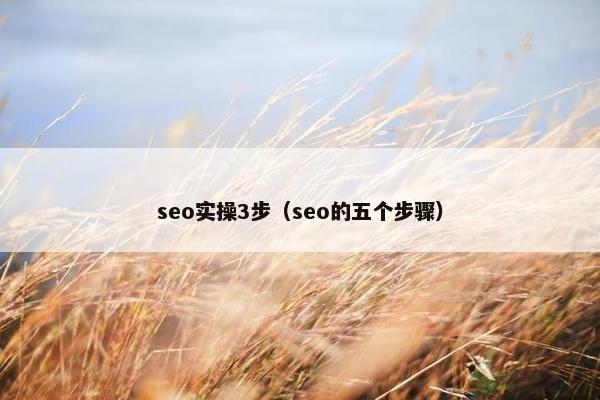 seo实操3步（seo的五个步骤）